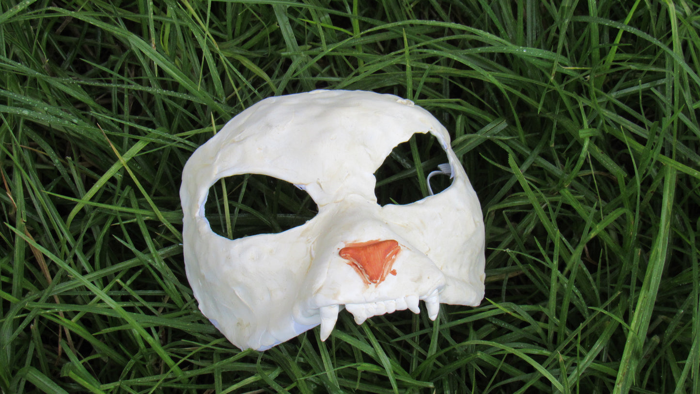 CatSkull