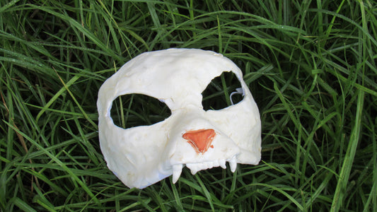 CatSkull