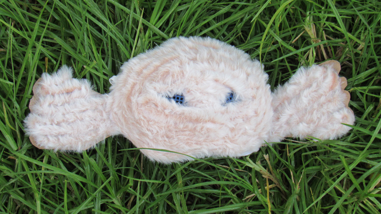 Fish Cat