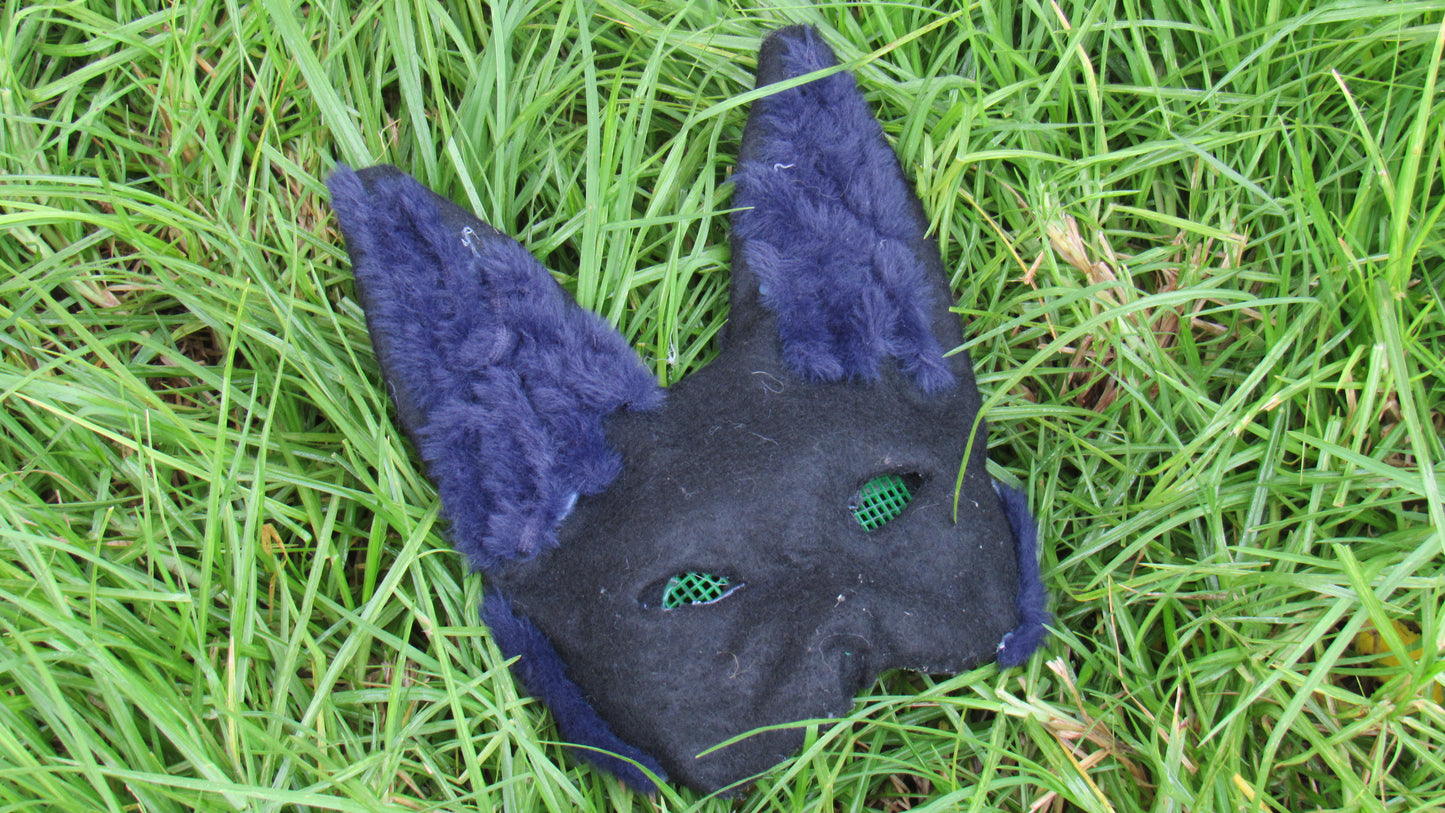 Black Cat